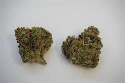 Calac Wellness Calac Flower Pancakes 7g Weedmaps