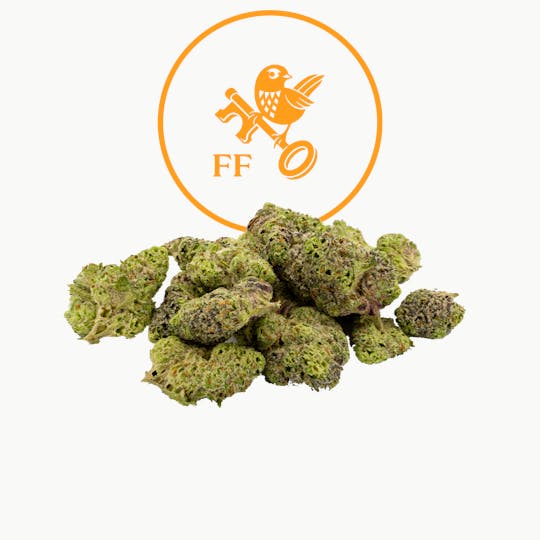 Franklin Fields - First Class Funk Popcorn - 1