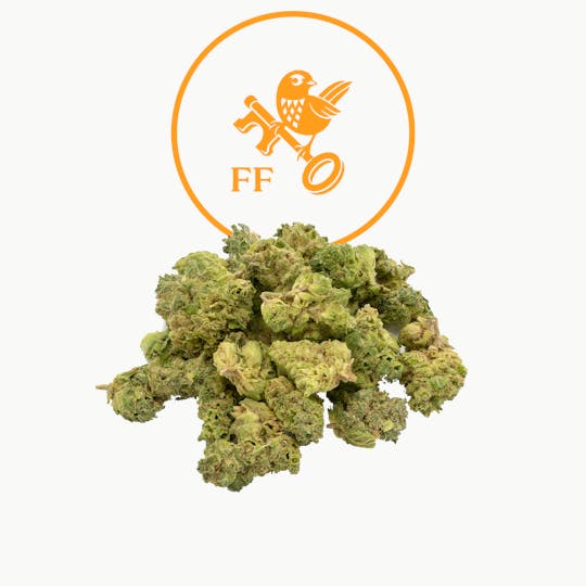 Franklin Fields - Lemon G Popcorn - 1