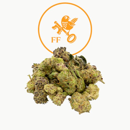 Franklin Fields - MEATZ Popcorn - 1