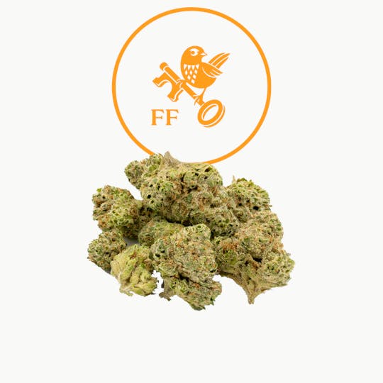 Franklin Fields - Motor Breath Popcorn - 1