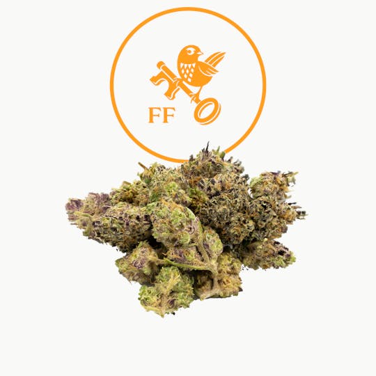 Franklin Fields - Papaya Punch Popcorn - 1