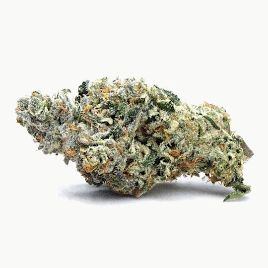 High Tide Organics - High Tide OG | Indoor - 1