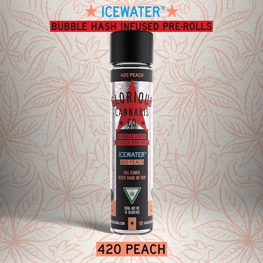 Glorious Cannabis Company - 420 Peach 1G | ICEWATER Bubble Hash Infused | Glorious Cannabis Co. - 1
