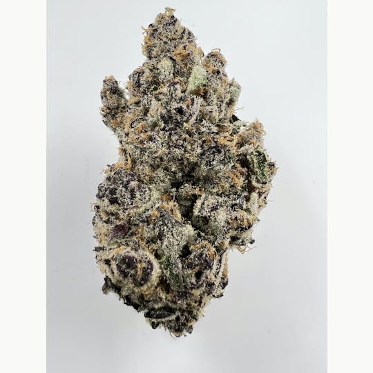 Indico - Super Boof - 1