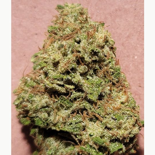 Daedalus Craft Cannabis - $80 Ounce of the Day - Royal Blue Sky Diesel - 1