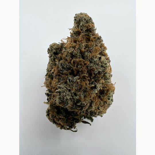 Indico - Acapulco Gold - 1