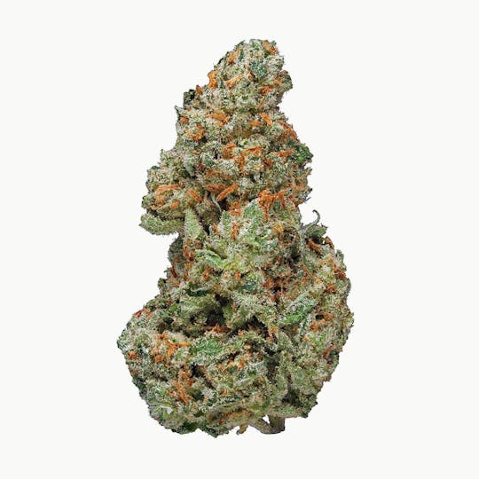 Royal Highness - Royal Highness- XJ 13 - 1
