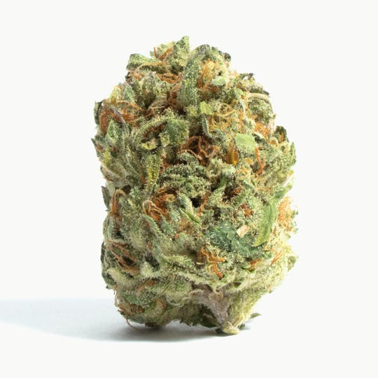 Royal Highness - Royal Highness | Kimbo Kush - 1