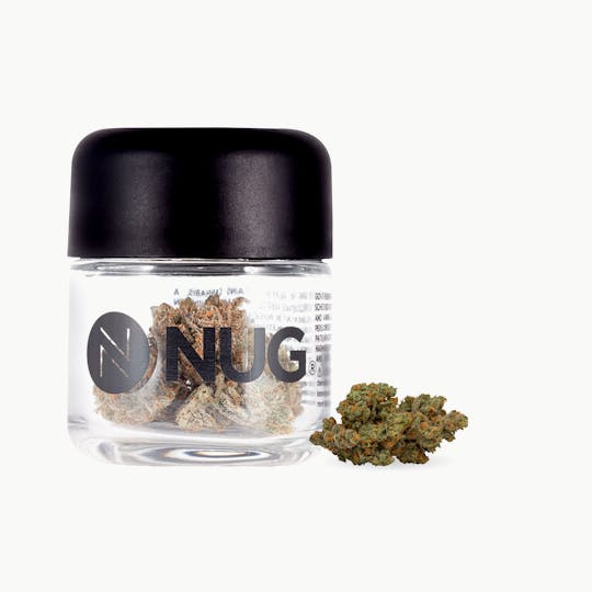 NUG - NUG Flower - Shiba Inu - 1