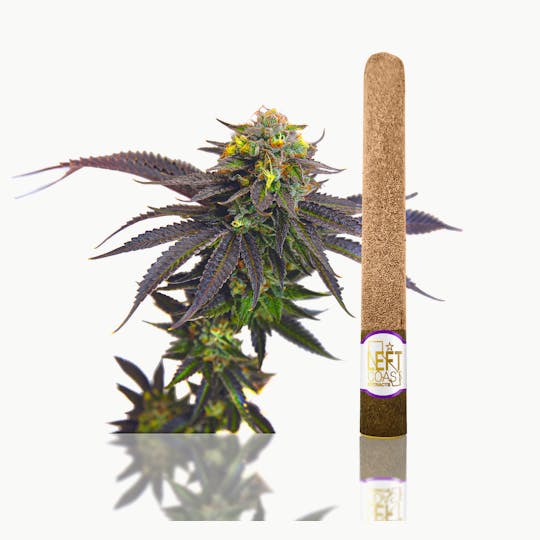 LEFT COAST - Premium Blunt Roll 2.2 Grams -Grape Cookies- - 1