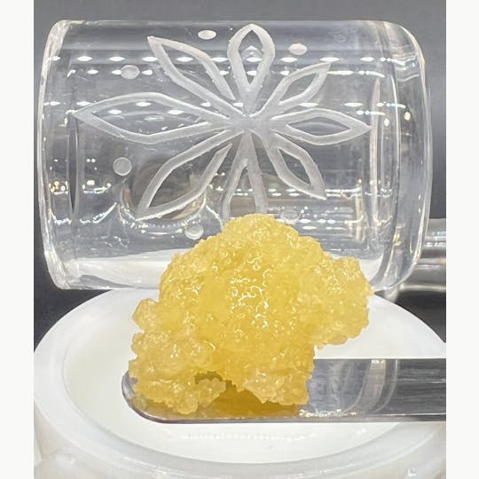 Sooner Glue - Cinderella 99 - 1