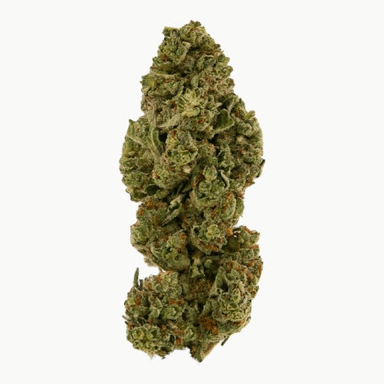 Smoakland - Exotix - Gelato 33 (I/H) - 14g - 1