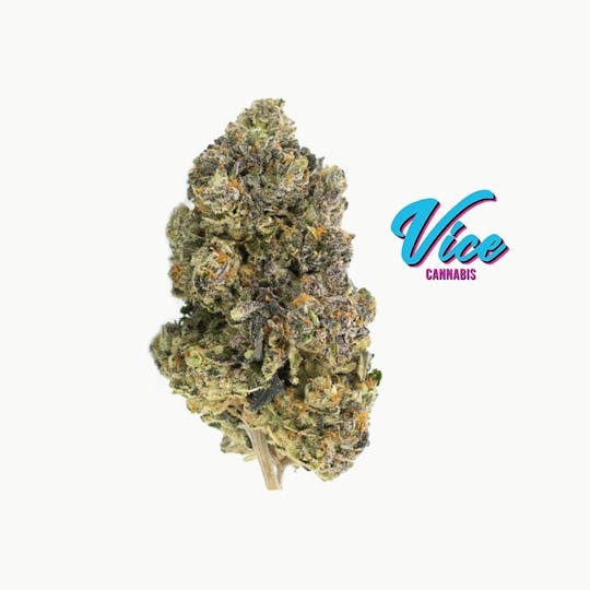 Vice Cannabis - Sherb Cake (Sherbert x Wedding Cake): Flower *Top Shelf SMALL BUDS* - 1