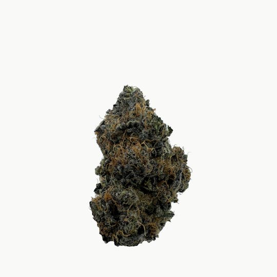 Your Green Thumb - TK Lato - 1