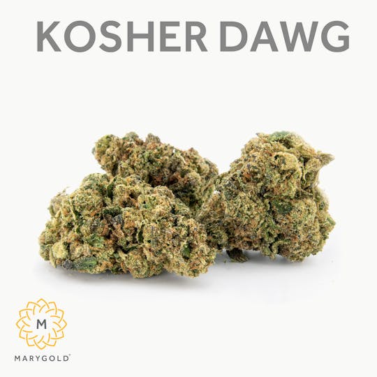 Marygold - Kosher Dawg (32% THC Indica) - 1