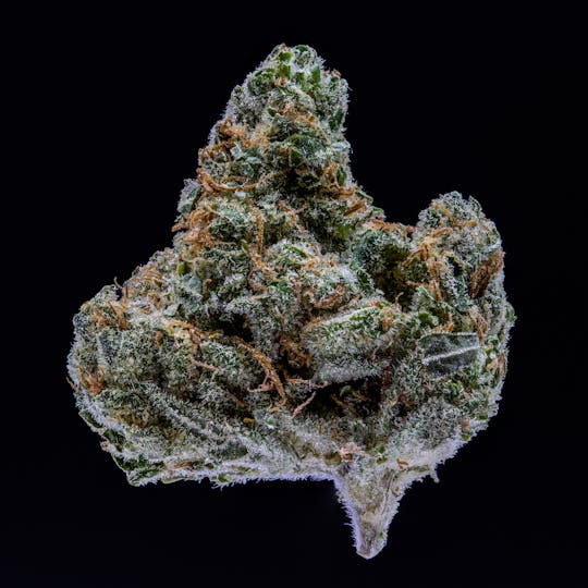 JAR Cannabis Co. - Chem Diesel by JAR Cannabis Co. - 1