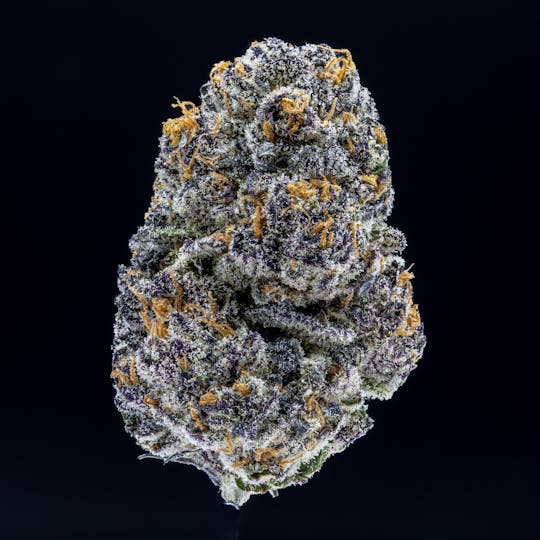 JAR Cannabis Co. - Cream Pie by JAR Cannabis Co. - 1