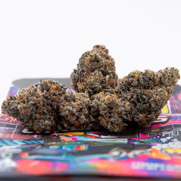 Ted's Budz Grand National Chronicles