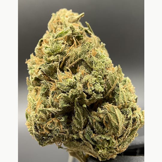 Sooner Glue - Cowboy Kush Flower - 1