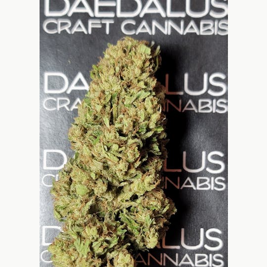 Daedalus Craft Cannabis - $80 Ounce Deal of the Day - NYPD X GSC - 1