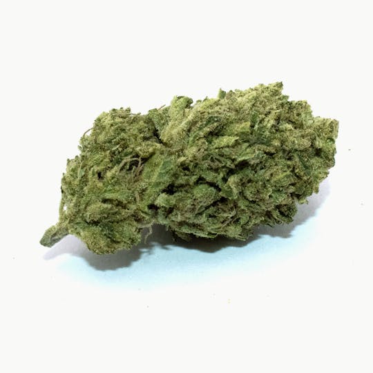 Trusty Transportations - Fatjack 1/2 Ounce/14 Grams (26.67% THC, Hybrid) - 1