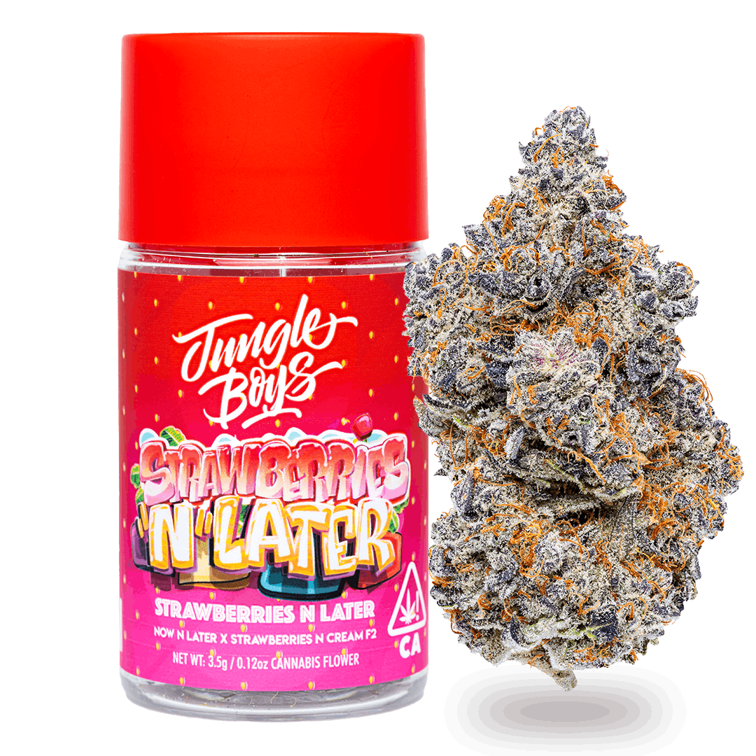 Jungle Boys | Strawberries N Later - 3.5g Flower - Jungle Boys