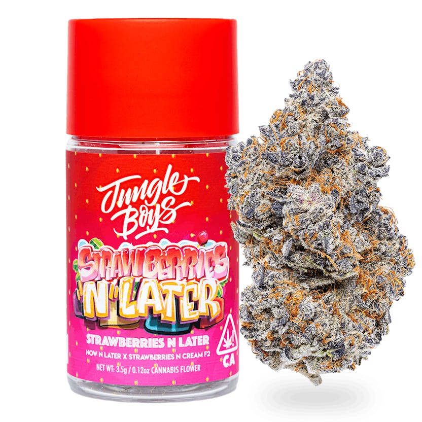 Jungle Boys | Strawberries N Later - 3.5g Flower - Jungle Boys