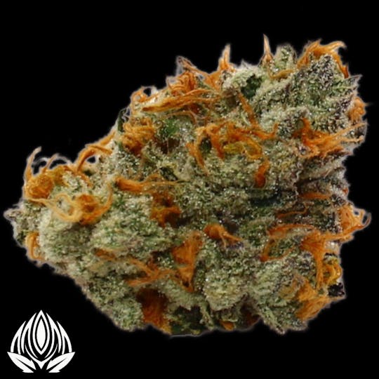 Peak Maine Cannabis - Barry Payton # 2 - Peak Maine - 1