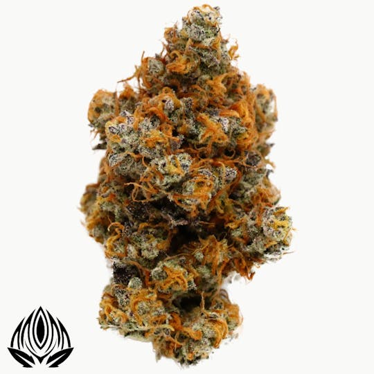Peak Maine Cannabis - Barry Payton #13 - Peak Maine - 1