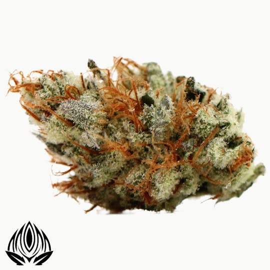 Peak Maine Cannabis - Mister Fuzion # 1 - Peak Maine - 1