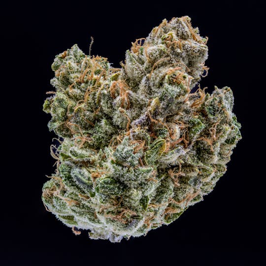 JAR Cannabis Co. - Local Lemony by JAR Cannabis Co. - 1