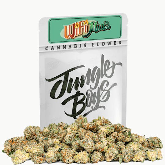 Jungle Boys - Jungle Boys | Wifi Mints - 10g Smalls - 1