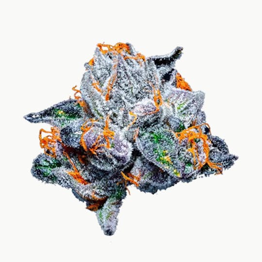 Blue Chip - Fruitlato #33 - 1