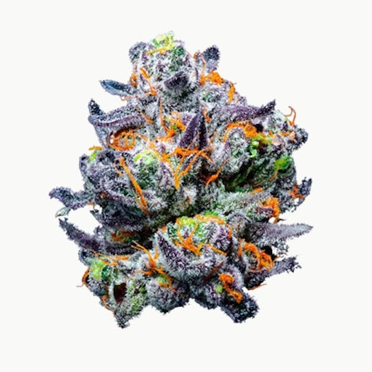 Blue Chip - Black Cherry Gelato - 1