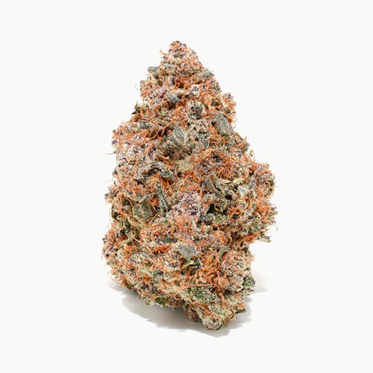 Blue Chip - Purple Congo - 1