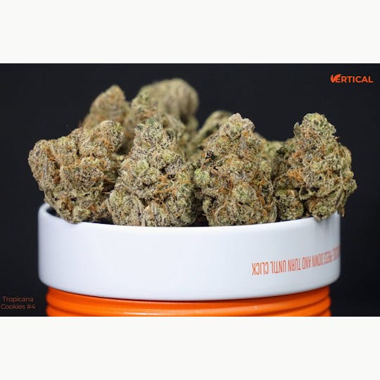 Vertical Cannabis - Tropicana Cookies #4 - 1