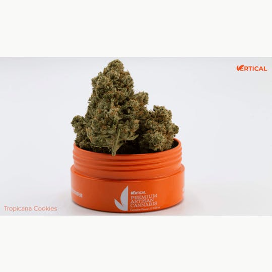 Vertical Cannabis - Tropicana Cookies - 1