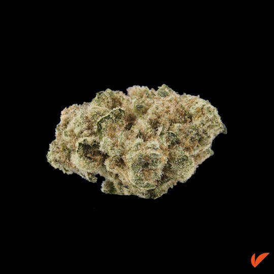 Vertical Cannabis - Colin OG - 1