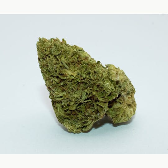 Trusty Transportations - Apricot Papaya 8th/3.5 Grams (27% THC, Sativa) - 1