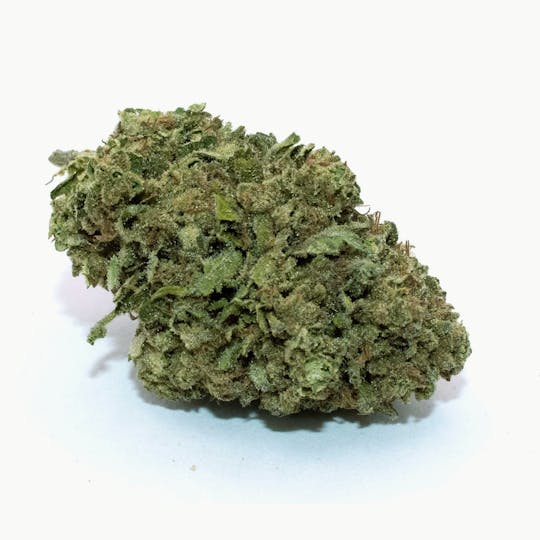 Trusty Transportations - London OG 8th/3.5 Grams (36% THC, Hybrid) - 1