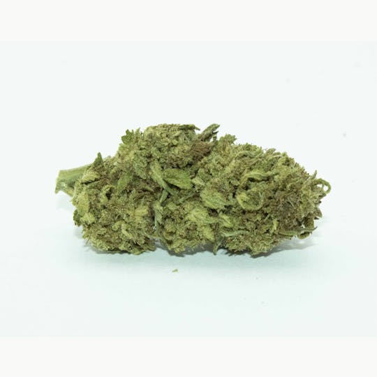 Trusty Transportations - Raspberry Parfait 8th/3.5 Grams (24% THC, Sativa) - 1