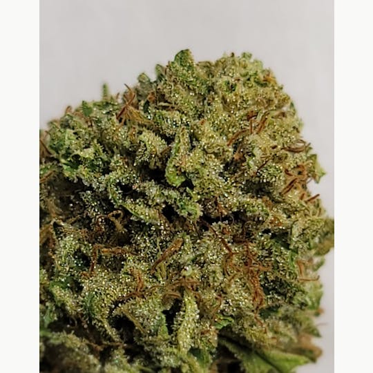 Daedalus Craft Cannabis - $80 Ounce of the Day - OG Kush - 1