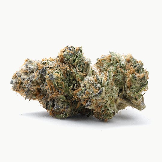 High Tide Organics - Cherry Blossom | Indoor - 1