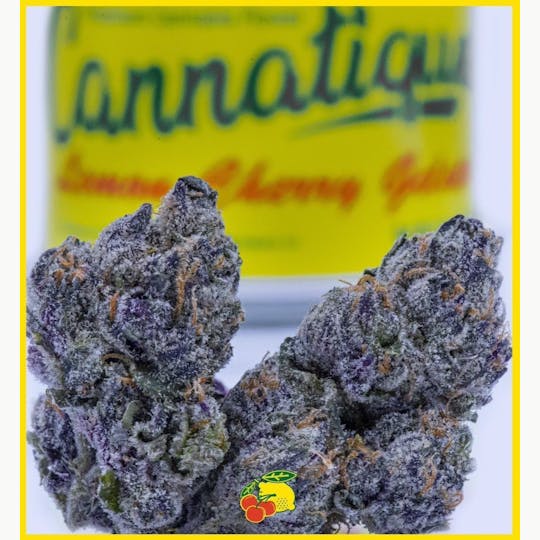 Cannatique - Lemon Cherry Gelato - 3.5G Cannatique - 1