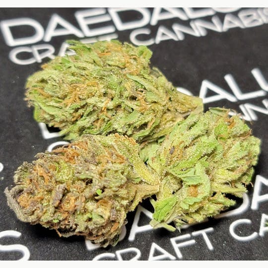 Daedalus Craft Cannabis - $100 Ounce of the Day - Sky Durban - 1