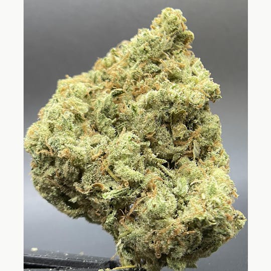Sooner Glue - Salty Dawg Flower - 1