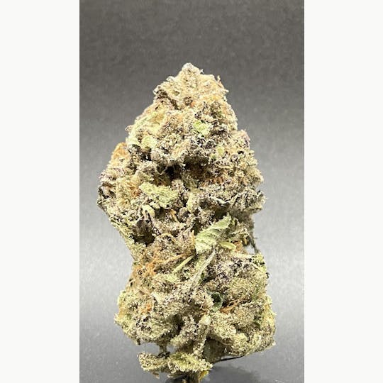 Sooner Glue - Happy Panda Flower - 1