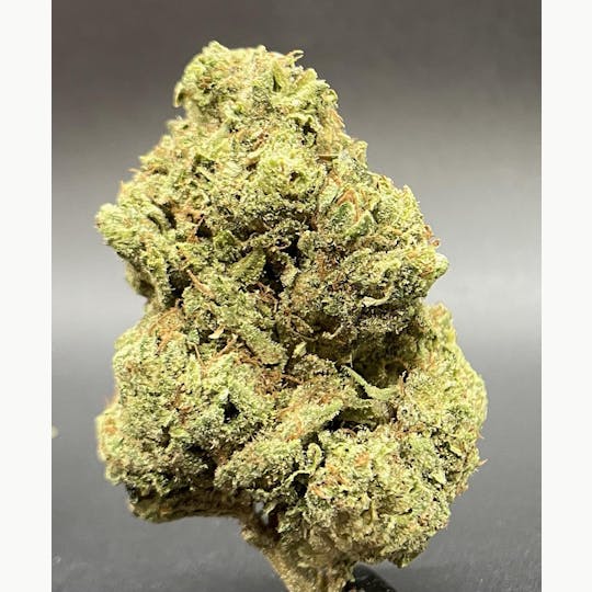 Sooner Glue - Rocket Fuel Flower - 1
