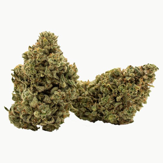 Nura - Godzilla Glue - 1